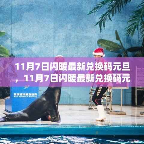 11月7日闪暖最新兑换码元旦,学习变化,自信闪耀,开启无限可能!