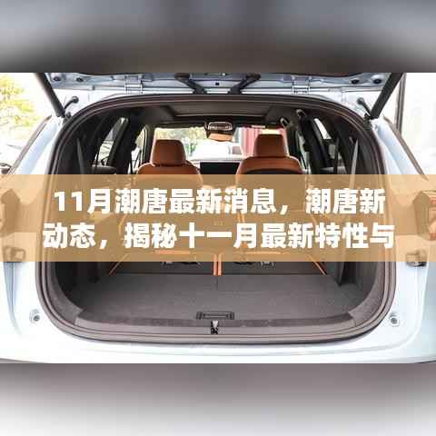 揭秘潮唐新动态,十一月最新特性与体验速递