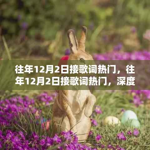往年12月2日接歌词热门，往年12月2日接歌词热门，深度测评与介绍