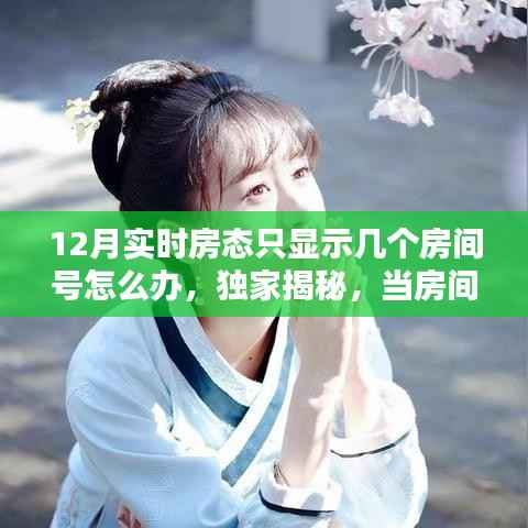 独家揭秘,如何应对十二月实时房态房间号神秘消失,友情与家的温暖照亮寒冬之旅