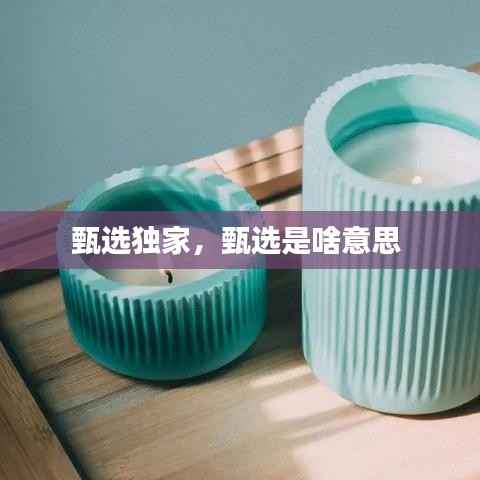 甄选独家,甄选是啥意思