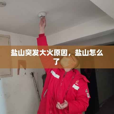 集腋成裘 第3页