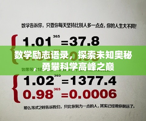 衣不兼彩 第3页