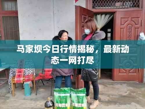 马家坝今日行情揭秘,最新动态一网打尽