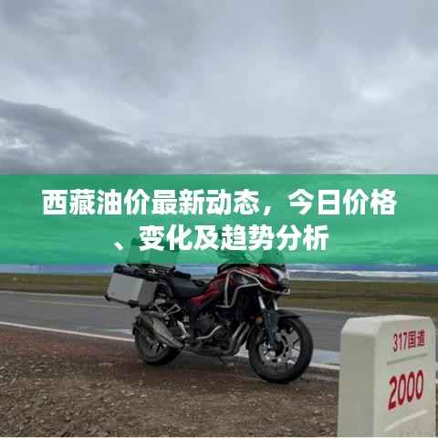 西藏油价最新动态，今日价格、变化及趋势分析