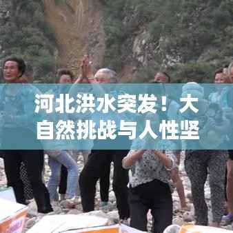 河北洪水突发!大自然挑战与人性坚韧瞬间记录