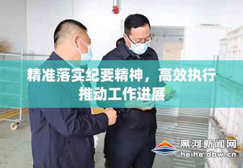 精准落实纪要精神，高效执行推动工作进展