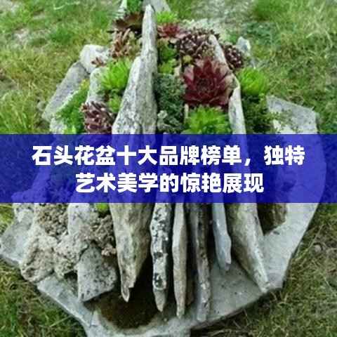石头花盆十大品牌榜单，独特艺术美学的惊艳展现