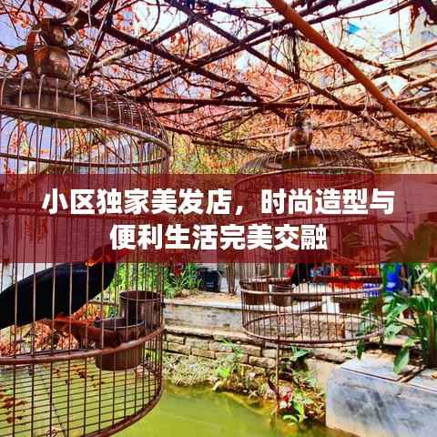 小区独家美发店,时尚造型与便利生活完美交融