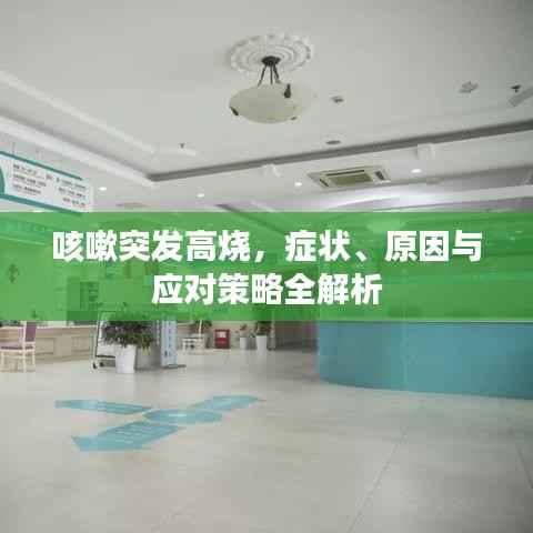 轻飞曼舞 第2页