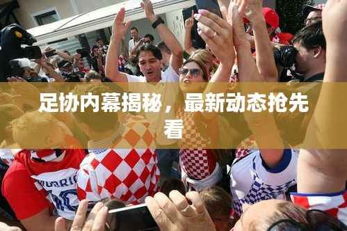 足协内幕揭秘,最新动态抢先看