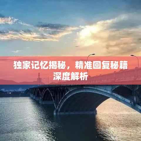 独家记忆揭秘,精准回复秘籍深度解析