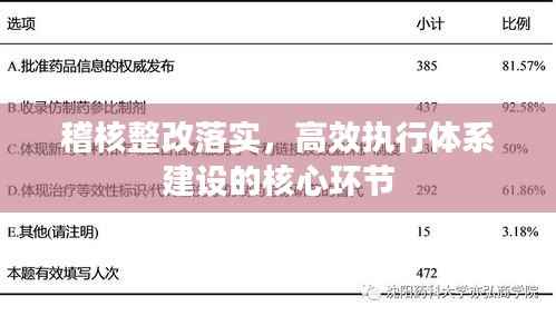 稽核整改落实,高效执行体系建设的核心环节